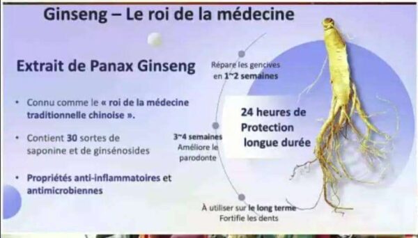 ÉZÉNO – Pâte Dentifrice Bio au Ginseng et Racine de Thé Vert – Image 3