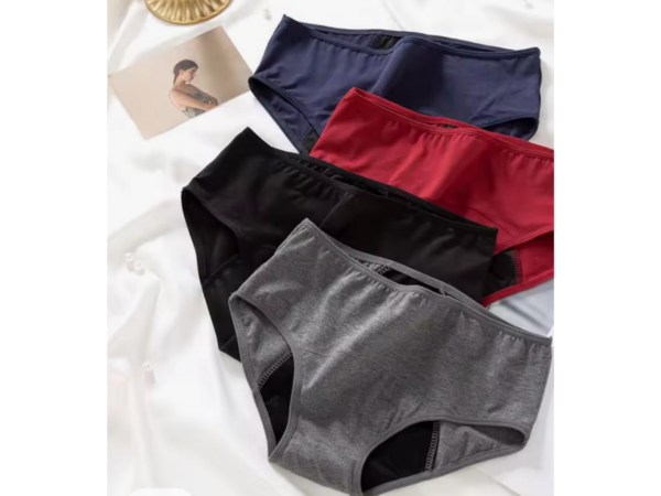 Culotte menstruelle flux léger absorption 2 à 5h